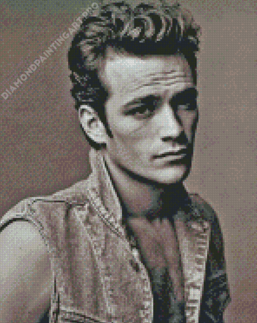 Monochrome Luke Perry Diamond Painting