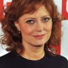 The Actress Susan Sarandon Diamond Painting