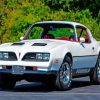 White 1977 Firebird Diamond Painting