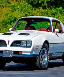 White 1977 Firebird Diamond Painting