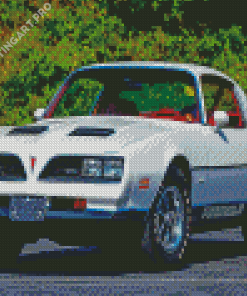 White 1977 Firebird Diamond Painting