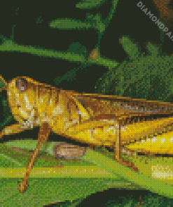 Yellow Grasshoppers Diamond Painting