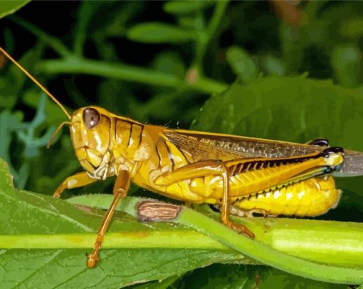 Yellow Grasshoppers Diamond Painting