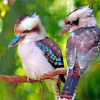 Kookaburras Birds Diamond Painting