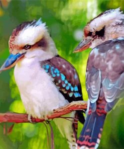 Kookaburras Birds Diamond Painting