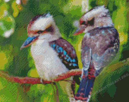 Kookaburras Birds Diamond Painting