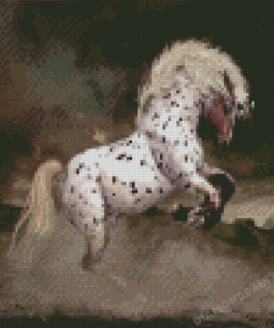 Rearing Appaloosa Horse Diamond Paintings