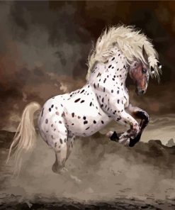 Rearing Appaloosa Horse Diamond Paintings