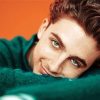 Timothee Chalamet Diamond Painting