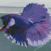 Purple Betta Fish Diamond Painting