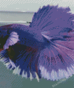 Purple Betta Fish Diamond Painting