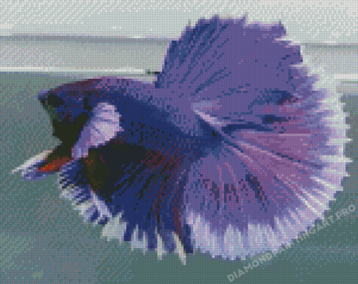 Purple Betta Fish Diamond Painting