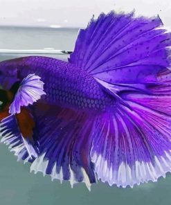 Purple Betta Fish Diamond Painting