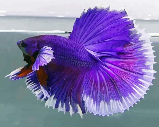 Purple Betta Fish Diamond Painting