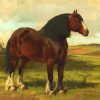 Brown Shire Horse Diamond Painting