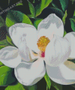 White Magnolia Flower Diamond Painting