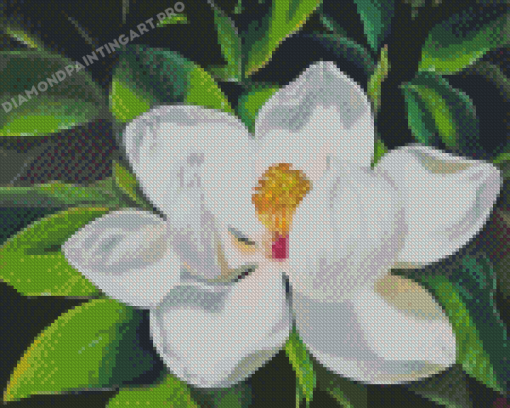 White Magnolia Flower Diamond Painting