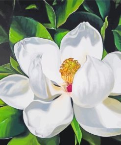 White Magnolia Flower Diamond Painting