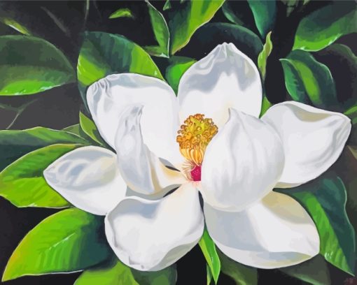 White Magnolia Flower Diamond Painting