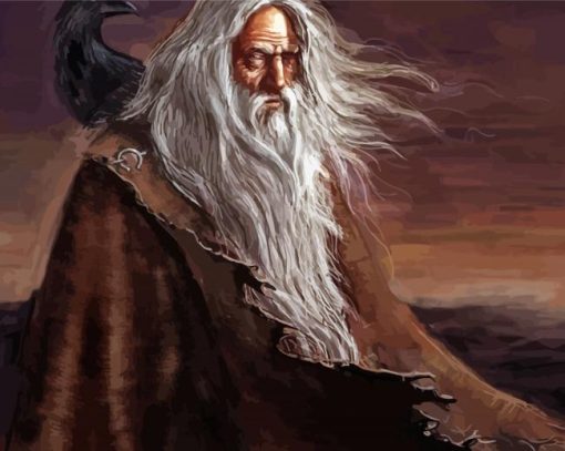 Odin Viking Diamond Painting