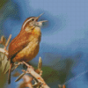 Carolina Wren Diamond Painting