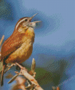 Carolina Wren Diamond Painting