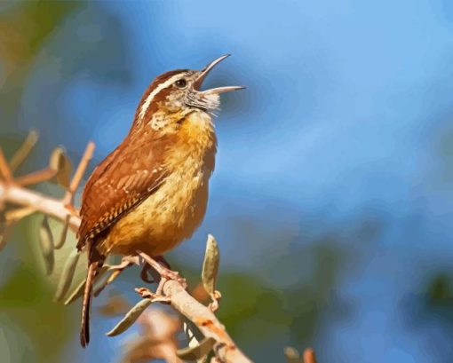 Carolina Wren Diamond Painting