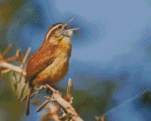 Carolina Wren Diamond Painting