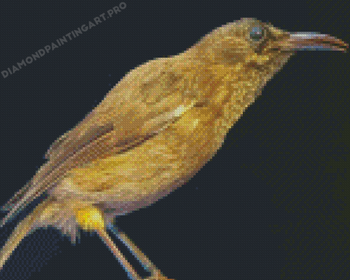 The Kauai Bird Diamond Painting