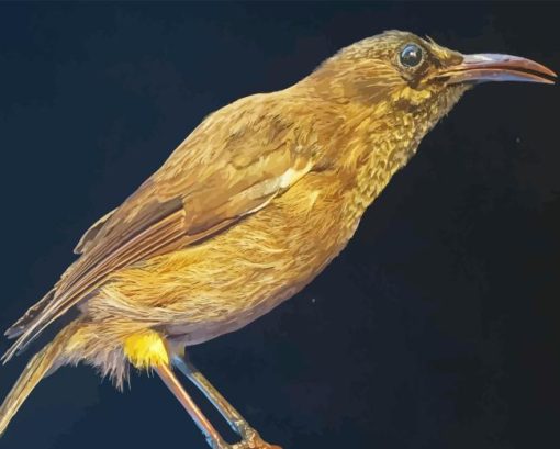 The Kauai Bird Diamond Painting