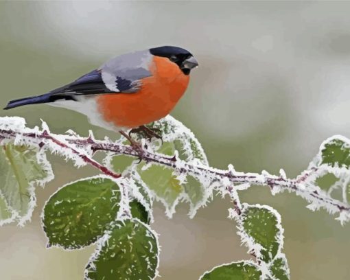 Eurasian Bullfinch Bird On Tree Branch Diamond Painting