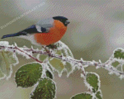 Eurasian Bullfinch Bird On Tree Branch Diamond Painting