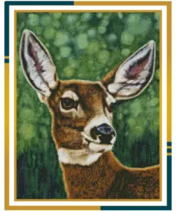 Wildlife & Companions